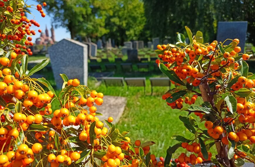 Židovsko groblje u Đakovu jedinstveno u svijetu zahvaljujući grobaru Stjepanu Kolbu