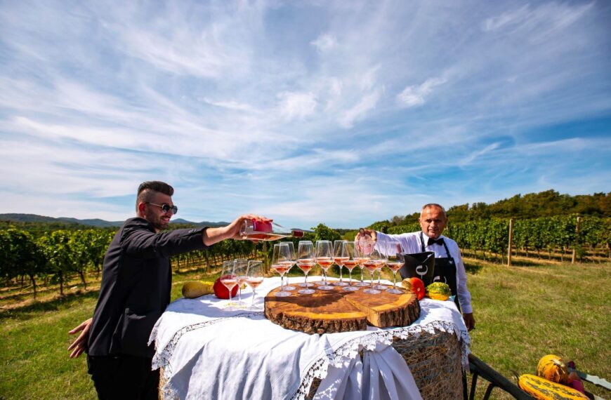 Berba grožđa za Enosophiu