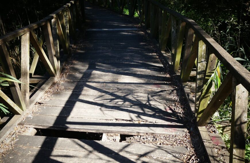 Obnova šetnice bijelog lopoča u Kopačevu