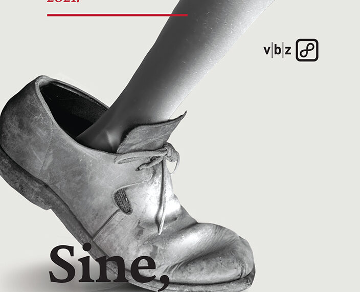 Sine, idemo kući – roman o gubitku, kratkotrajnoj nadi i sjećanju