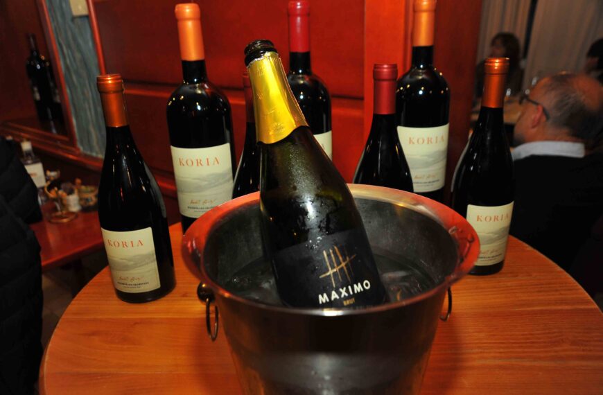 Nova blaga starog podruma