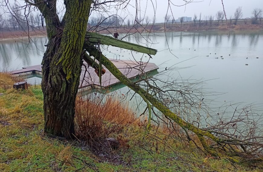 Revitalizacija prostora na osječkom Bajeru na Jugu II