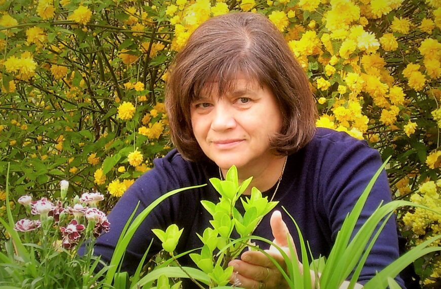 MALI ŽENSKI RAZGOVORI S PRIZNATOM PJESNIKINJOM, ŠTEFANIJOM LUDVIG POVOD NOVE HAIKU ZBIRKE