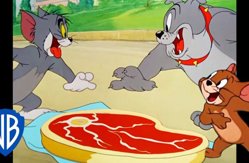 Tom & Jerry – Ciljevi prijateljstva
