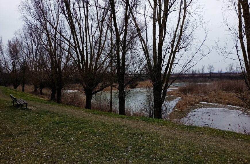 Može li Bajer na osječkom Jugu II postati oaza rekreativnih aktivnosti građanstva