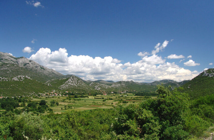 P. Pavlović: DOBROŠTIK