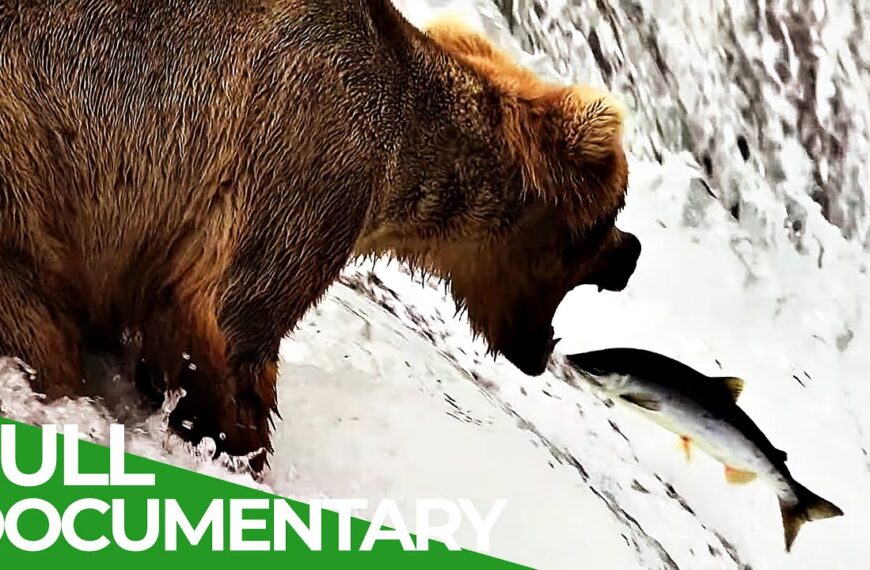 Vrata Arktika – najudaljeniji američki nacionalni park