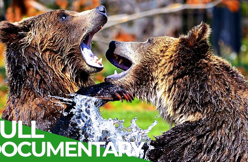 Yellowstone – ljepota koja oduzima dah prvog američkog nacionalnog parka