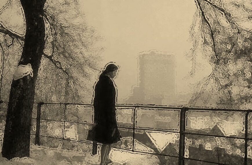 Zagrebačke zimske nedjelje