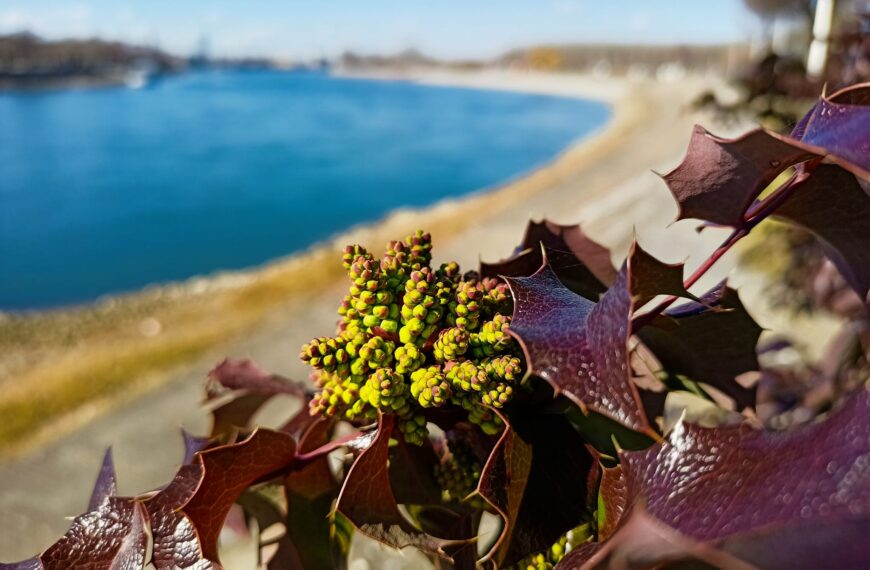 U obilasku najpoznatije kontinentalne plaže u Hrvatskoj – Copacabane