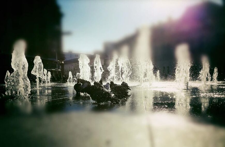 KOMENTAR: Medijska slika javnosti (ne)odgovara stvarnom stanju društva