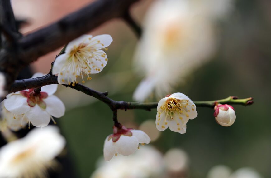 Ne mrzi nikoga, ali i ne voli svakoga