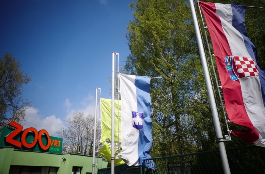 Životinjska bolnica u Osijeku izgradit će se do kraja godine, u ZOO vrt stigli afrički lav i crveni ris