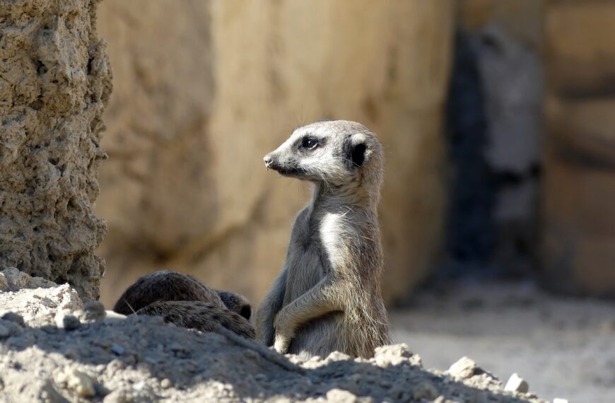 Tradicionalni Uskrsni ponedjeljak u osječkom Zoološkom vrtu