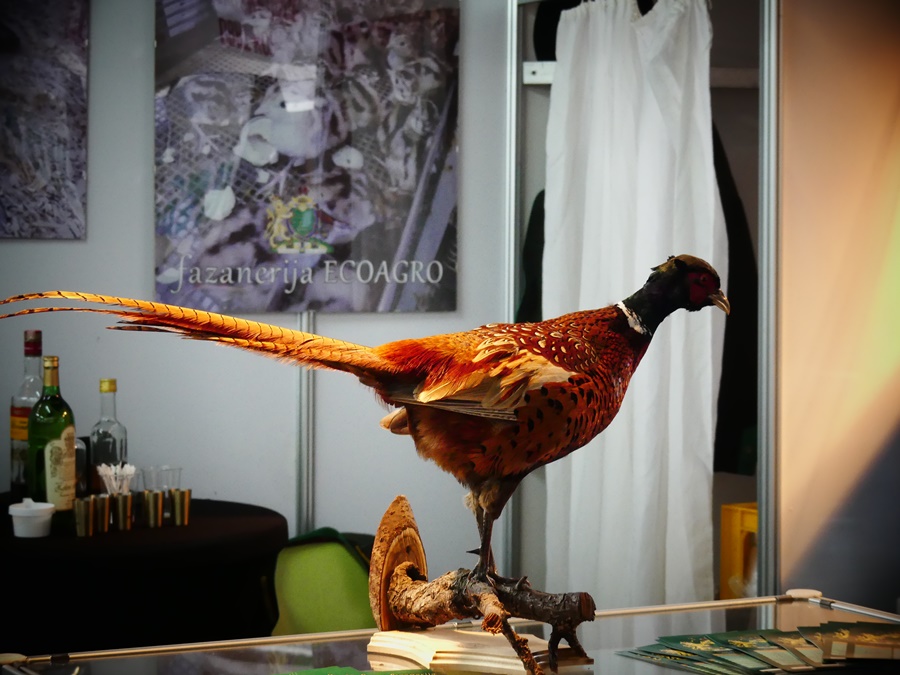 Svečano otvorenje 17. Sajma lova, ribolova i turizma SALORI 2022 (11)