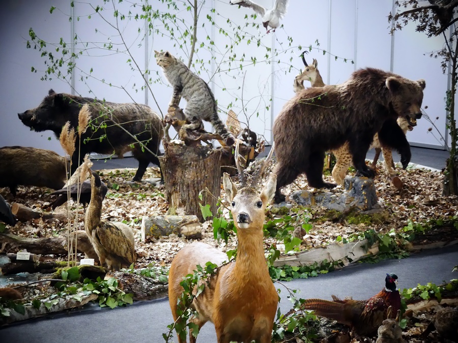 Svečano otvorenje 17. Sajma lova, ribolova i turizma SALORI 2022 (13)