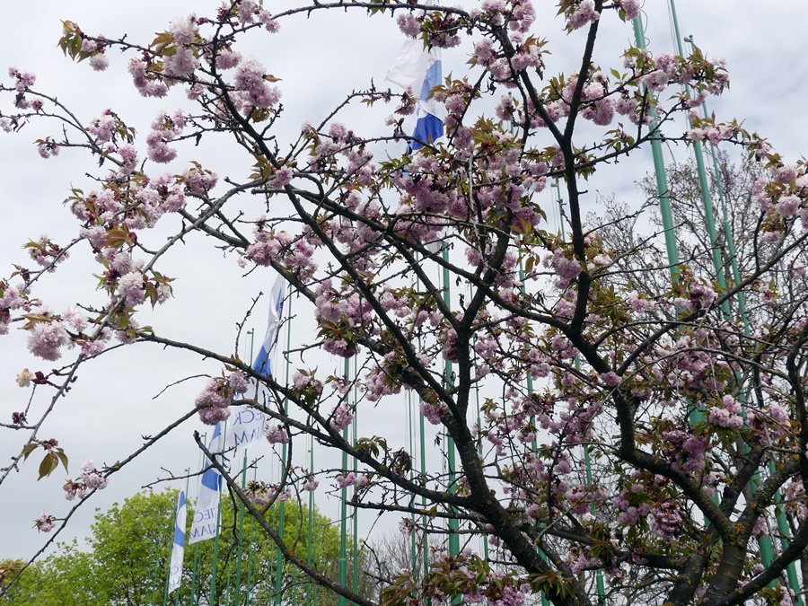 Svečano otvorenje 17. Sajma lova, ribolova i turizma SALORI 2022 (17)