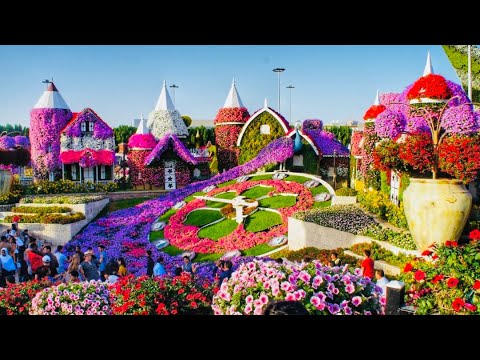 Miracle Garden Dubai- najveći prirodni cvjetnjak na svijetu