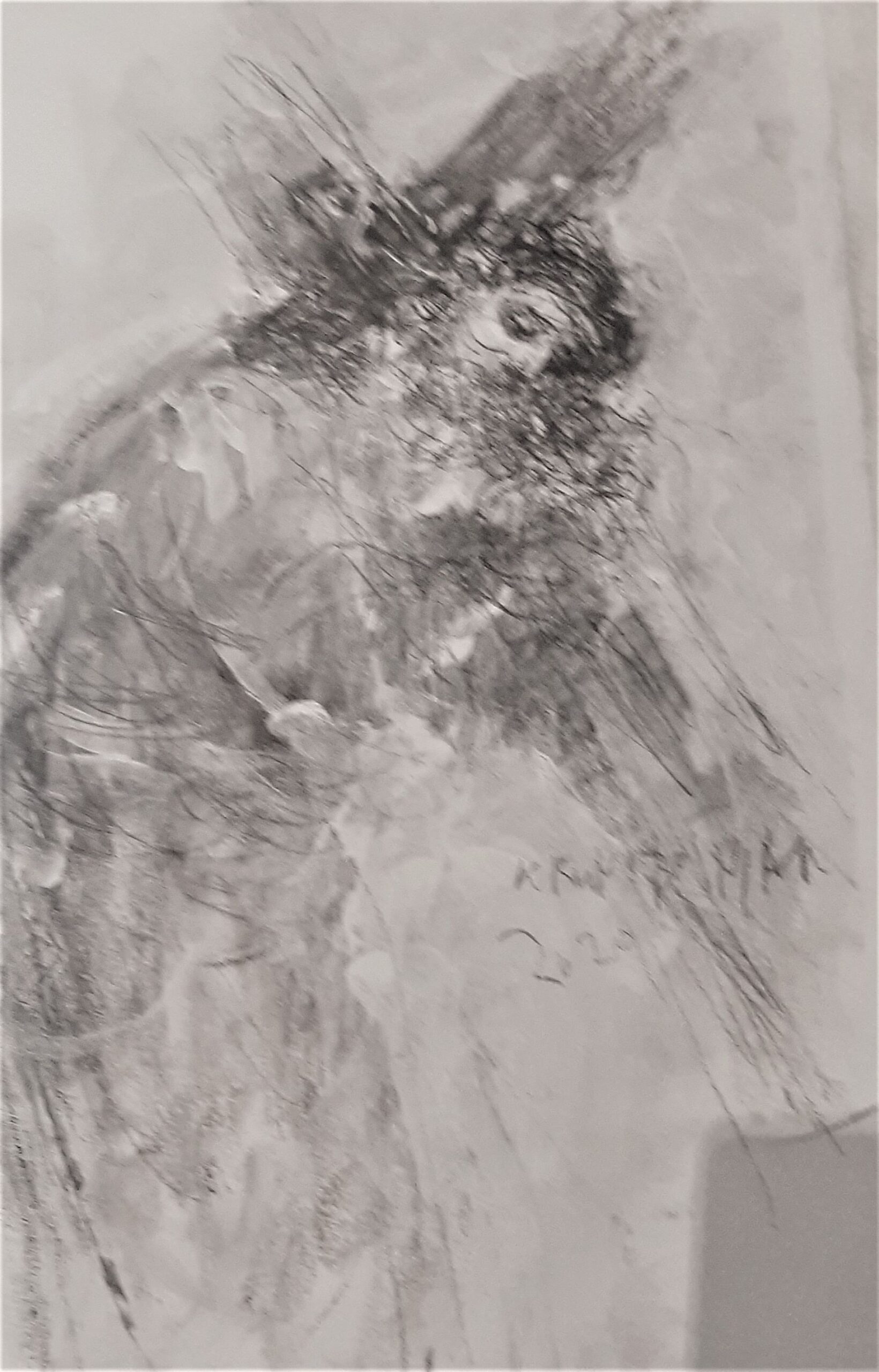 Kruno Bošnjak – Ciklus posvećen blaženiku