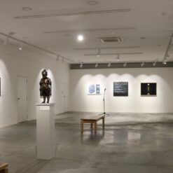 Grožnjan - gostovanje projekta u Modernoj galeriji u Podgorici (11)