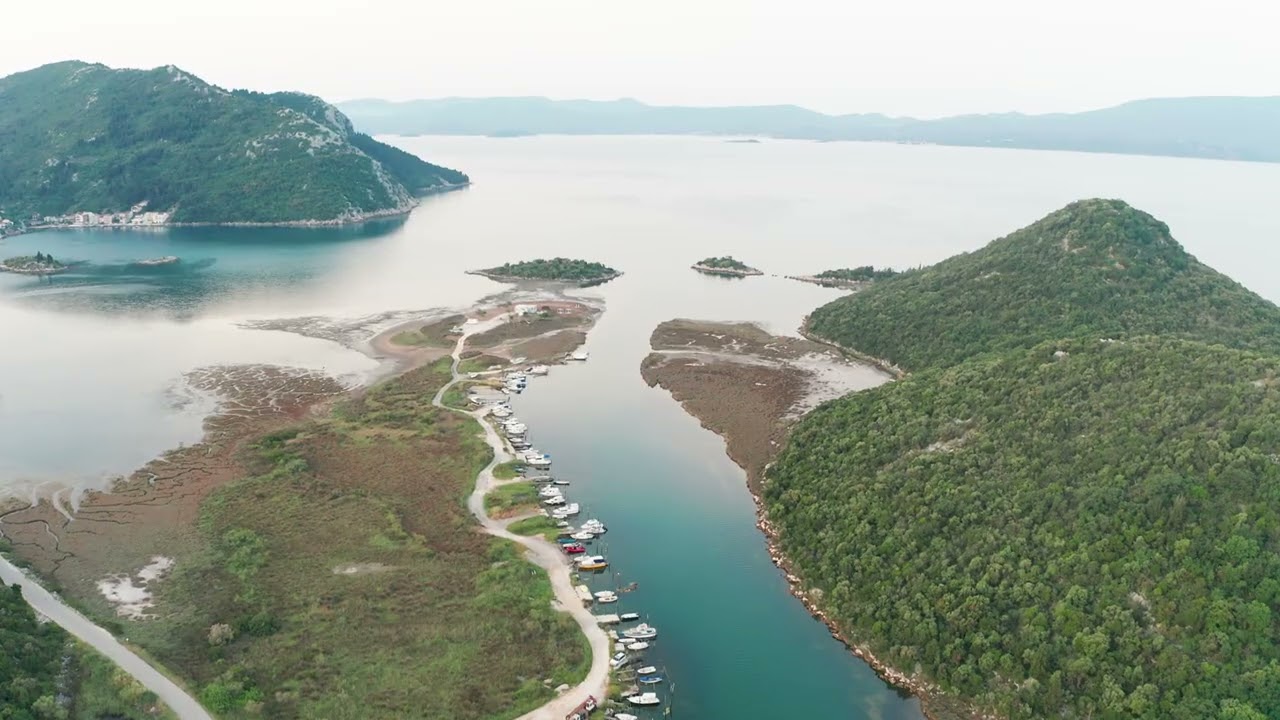 P. Pavlović: DELTA NERETVE