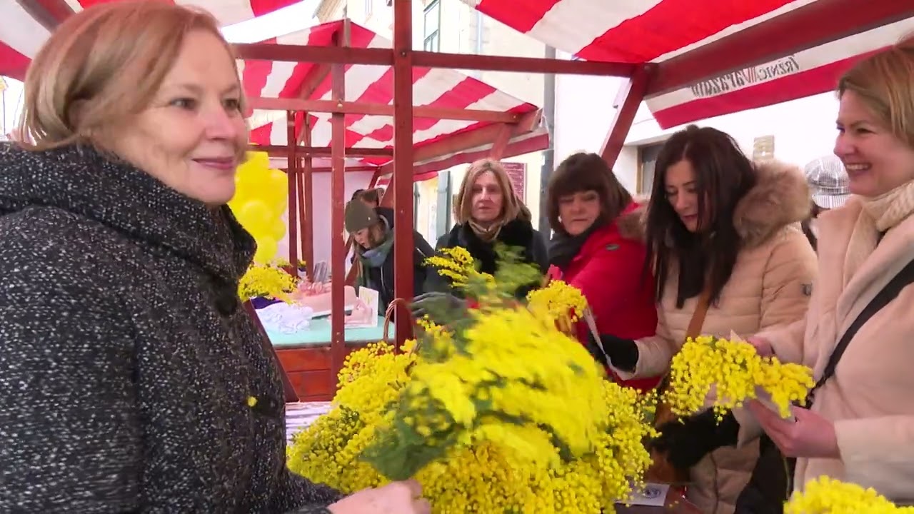 Dan mimoza – Nacionalni dan borbe protiv raka vrata maternice