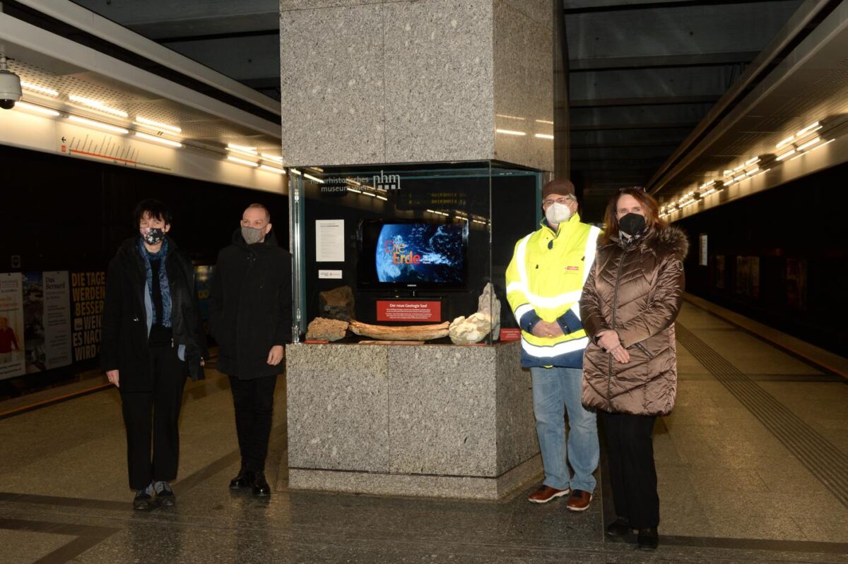 Kljova mamuta izložena na metro stanici © NHM Wien