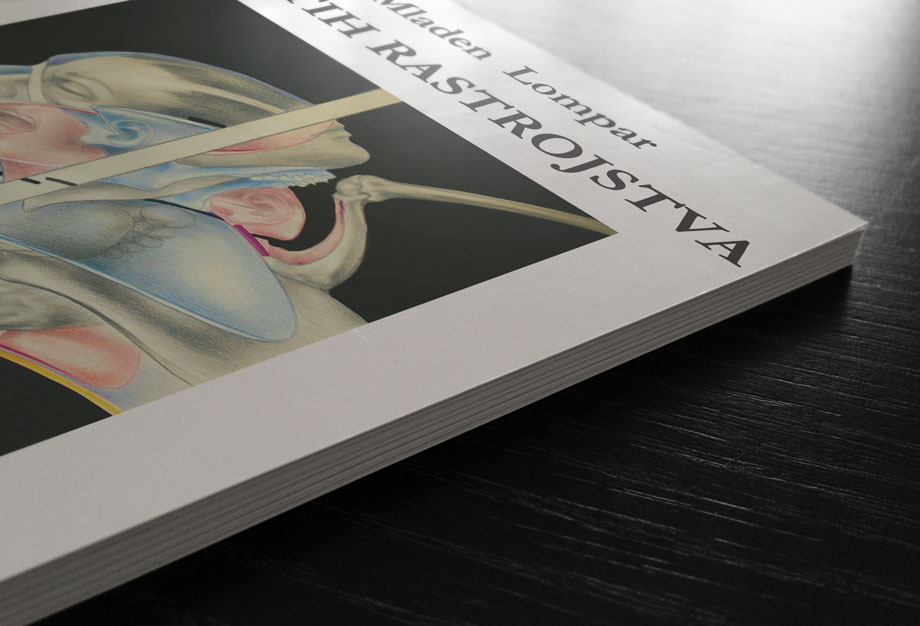 Knjiga Mladena Lompara Diptih Rastrojstva