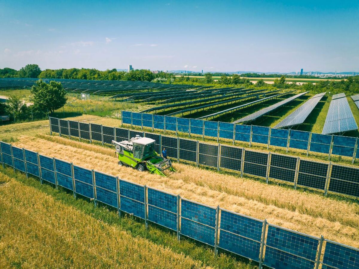 Najveća agrosolarna elektrana u Austriji © Raphael Faschang