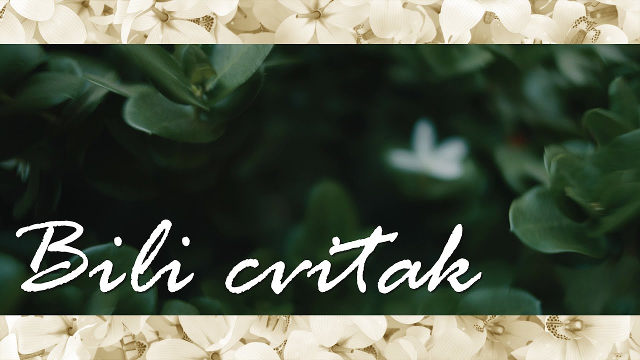 Jura Stublić & Film – Bili cvitak