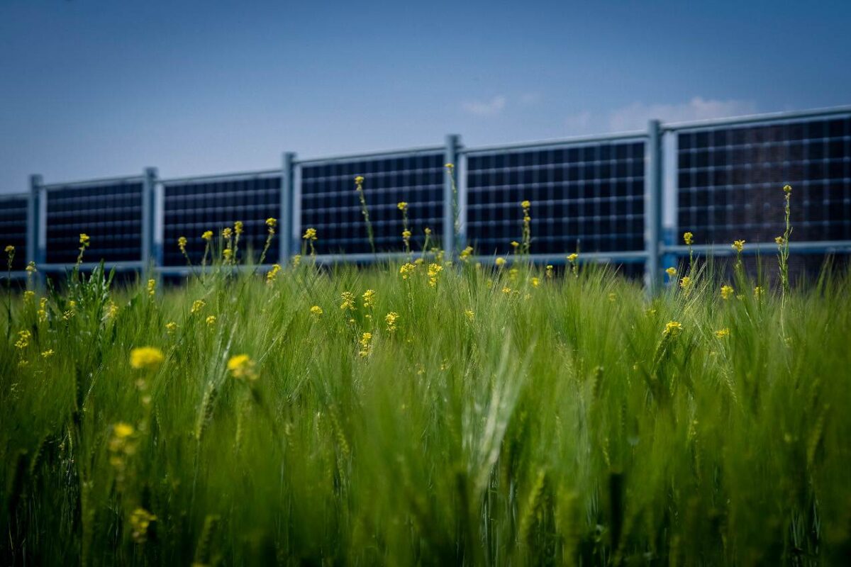 Tlo se koristi za poljoprivredu i proizvodnju električne energije © Michael Horak