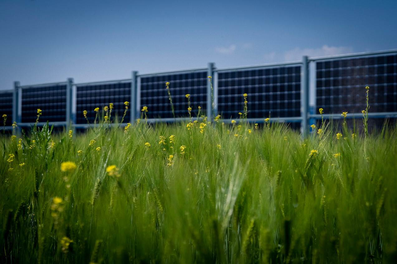 Fotonaponski sustavi na bečkim oranicama