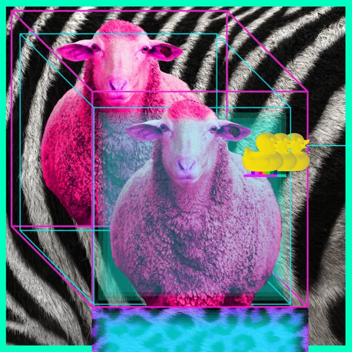 Zoran Šimunović (4)