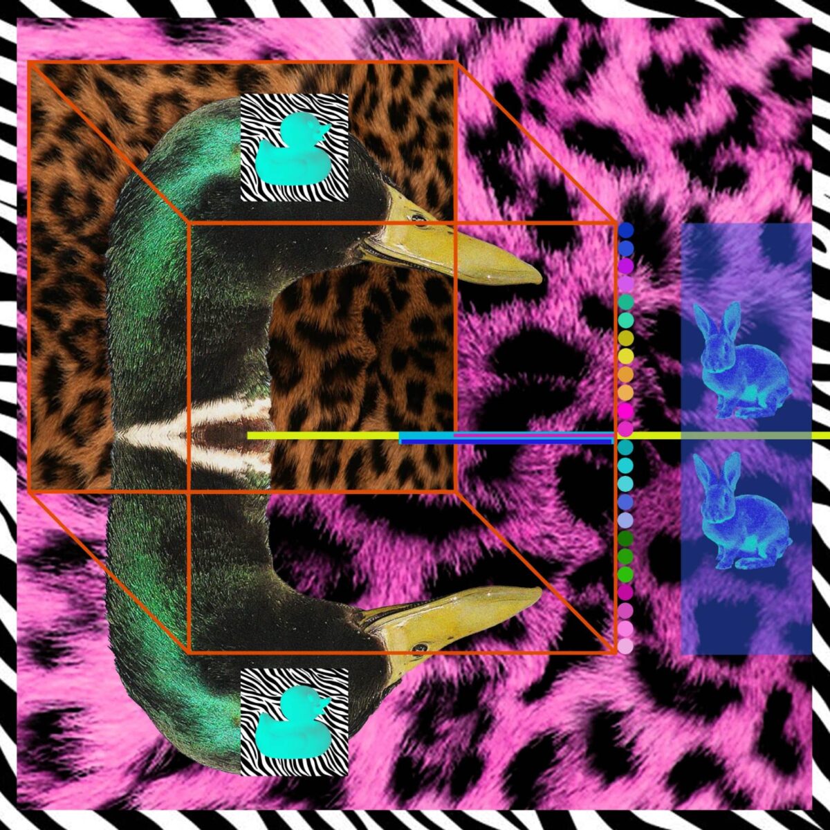 Zoran Šimunović (5)