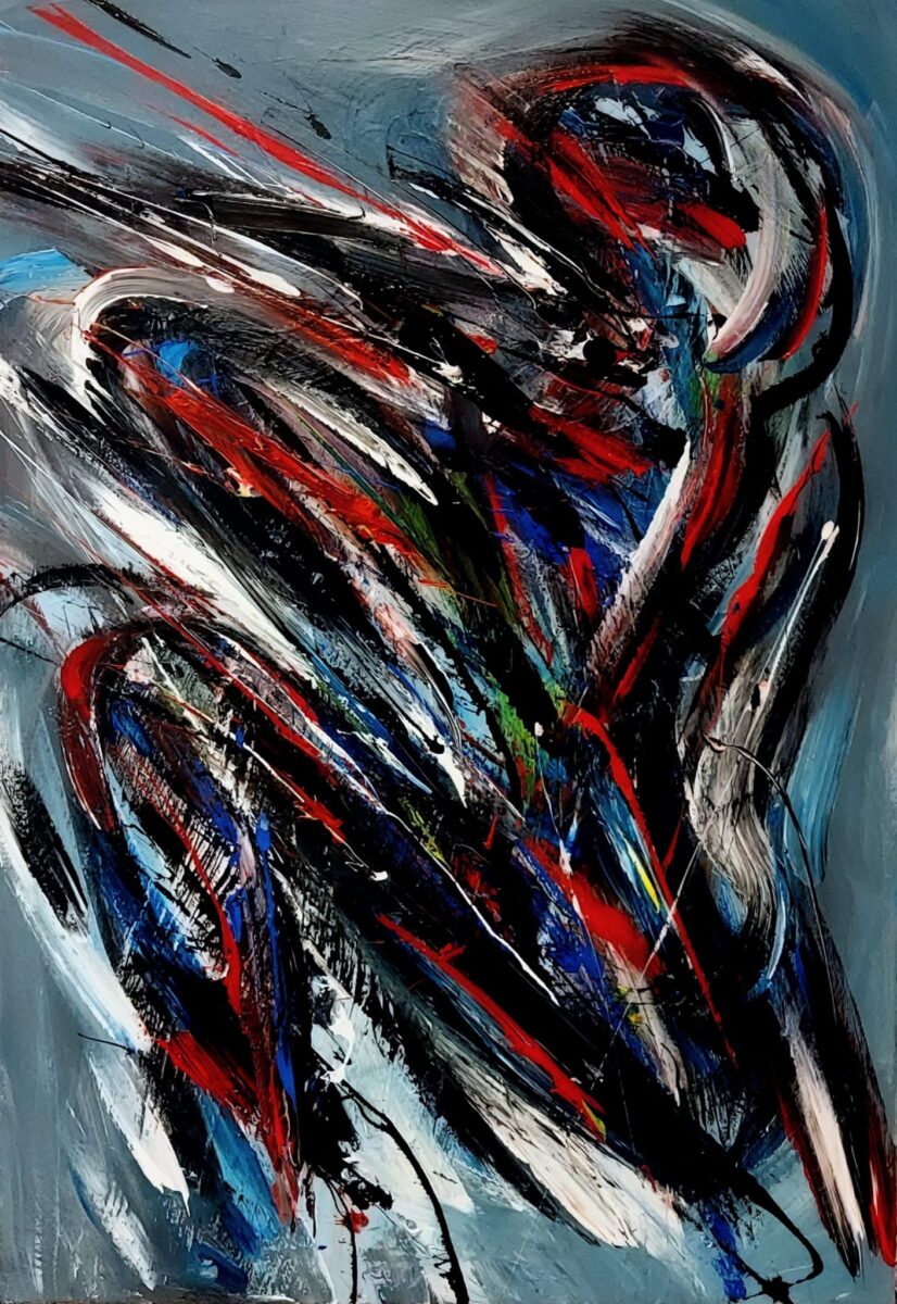 Dezintegracija Duška Šibla (2)