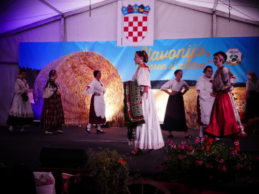 Ekipa portala Akademija-Art Zagreb u Tenji ”Slavonijo, u jesen si zlatna” (2)