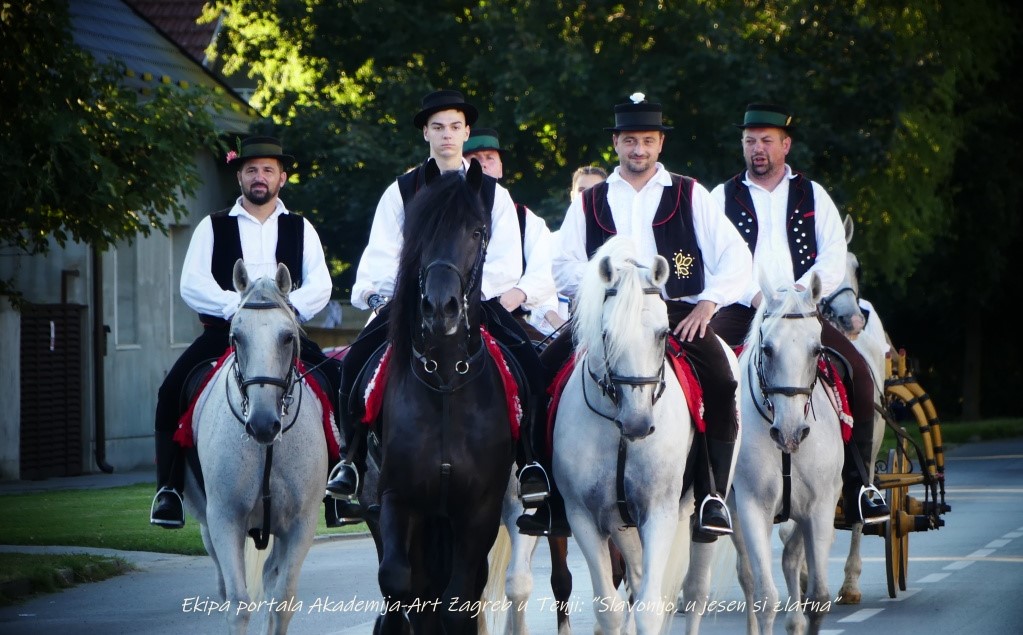Slavonijo, u jesen si zlatna – Foto & Video Ekipa portala Akademija-Art Zagreb u Tenji
