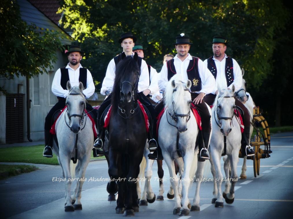Ekipa portala Akademija-Art Zagreb u Tenji - Slavonijo, u jesen si zlatna