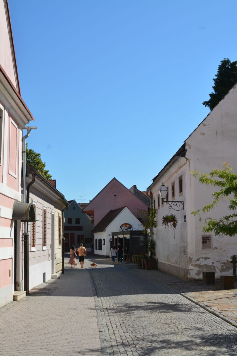 Likovna kolonija VARAŽDINSKI PURGAR 02 09 2023 (71)