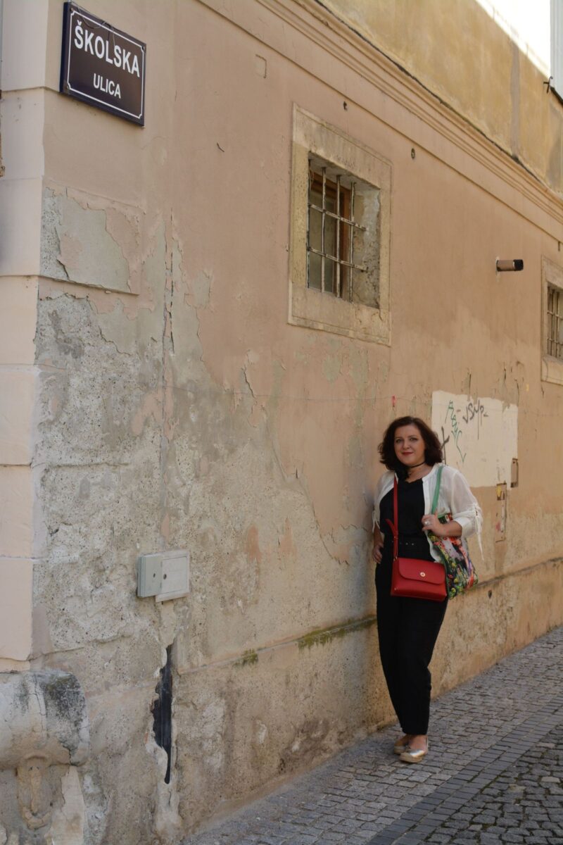 Likovna kolonija VARAŽDINSKI PURGAR 02 09 2023 (77)