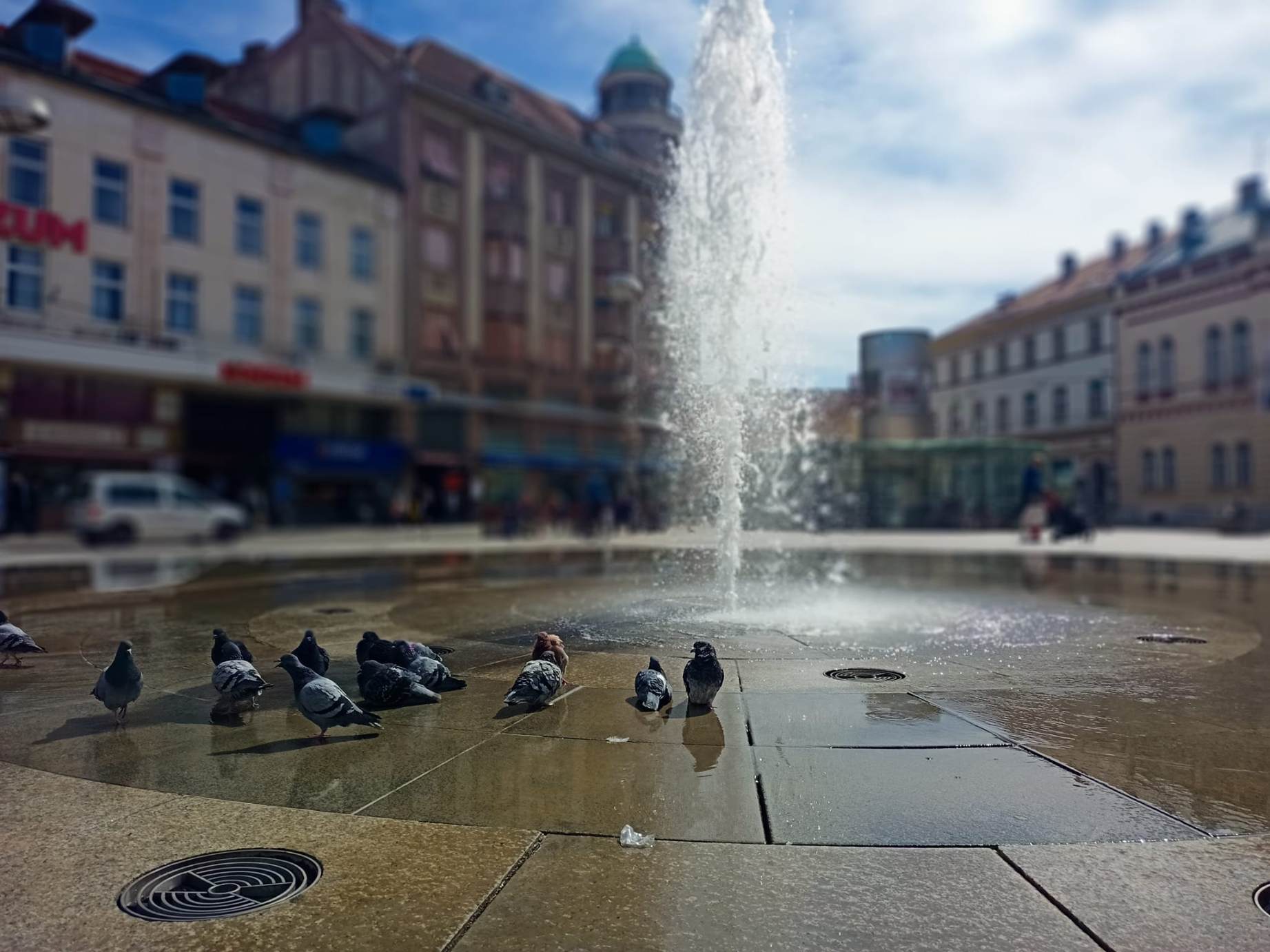 Mađarsko kulturno društvo Népkör Osijek