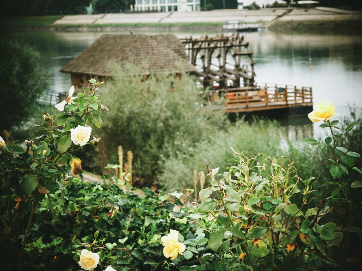 Vodenica na Dravi službeno je počela raditi početkom ožujka 2016.
