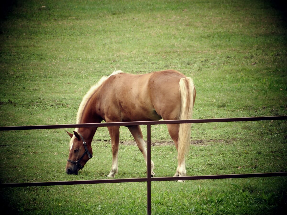 ZAHVALJUJEMO SVIM DONATORIMA I SPONZORIMA