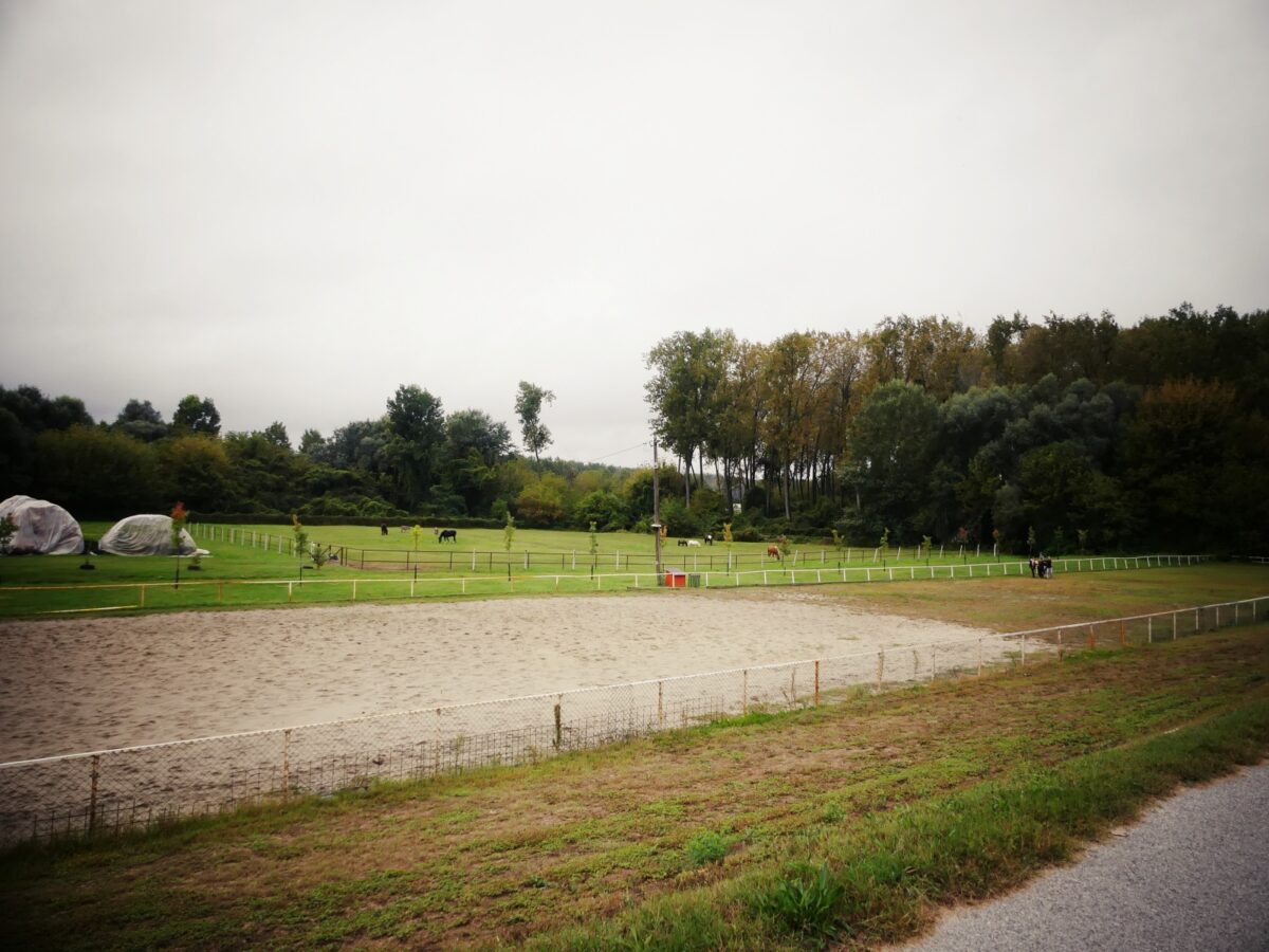 „Mogu svi – MOGU za sve“