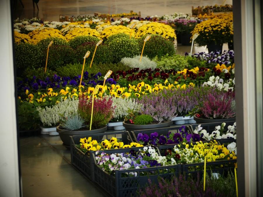 Heroj kraj Dunava - Vukovar grad (11)