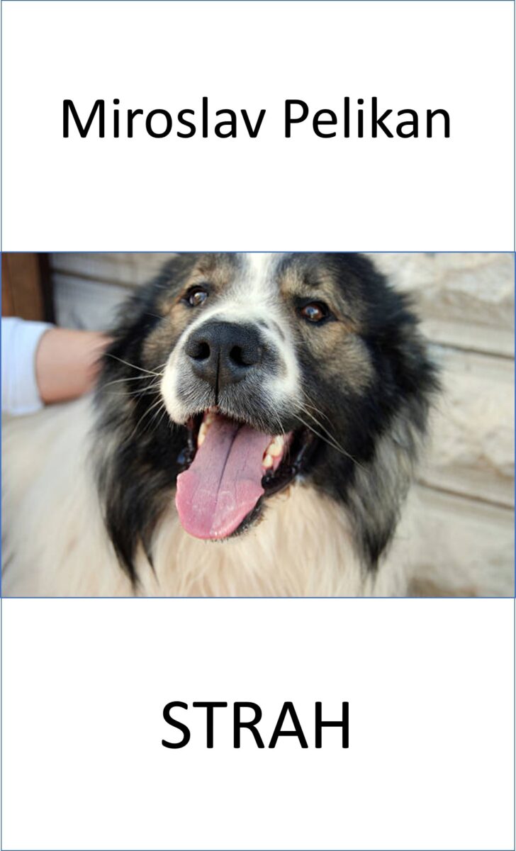 Miroslav Pelikan Strah