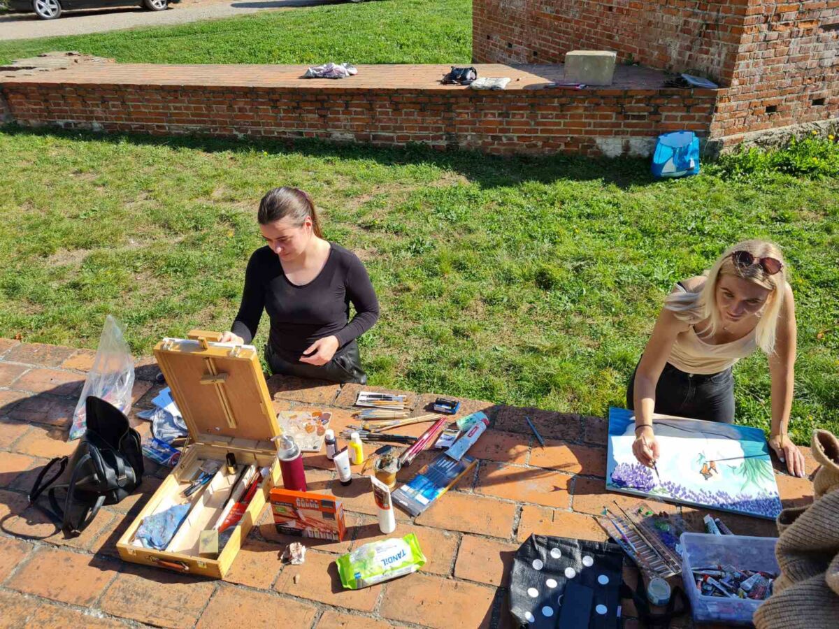 U Čakovcu Održana Likovna Kolonija Zrinski – 29 (15)