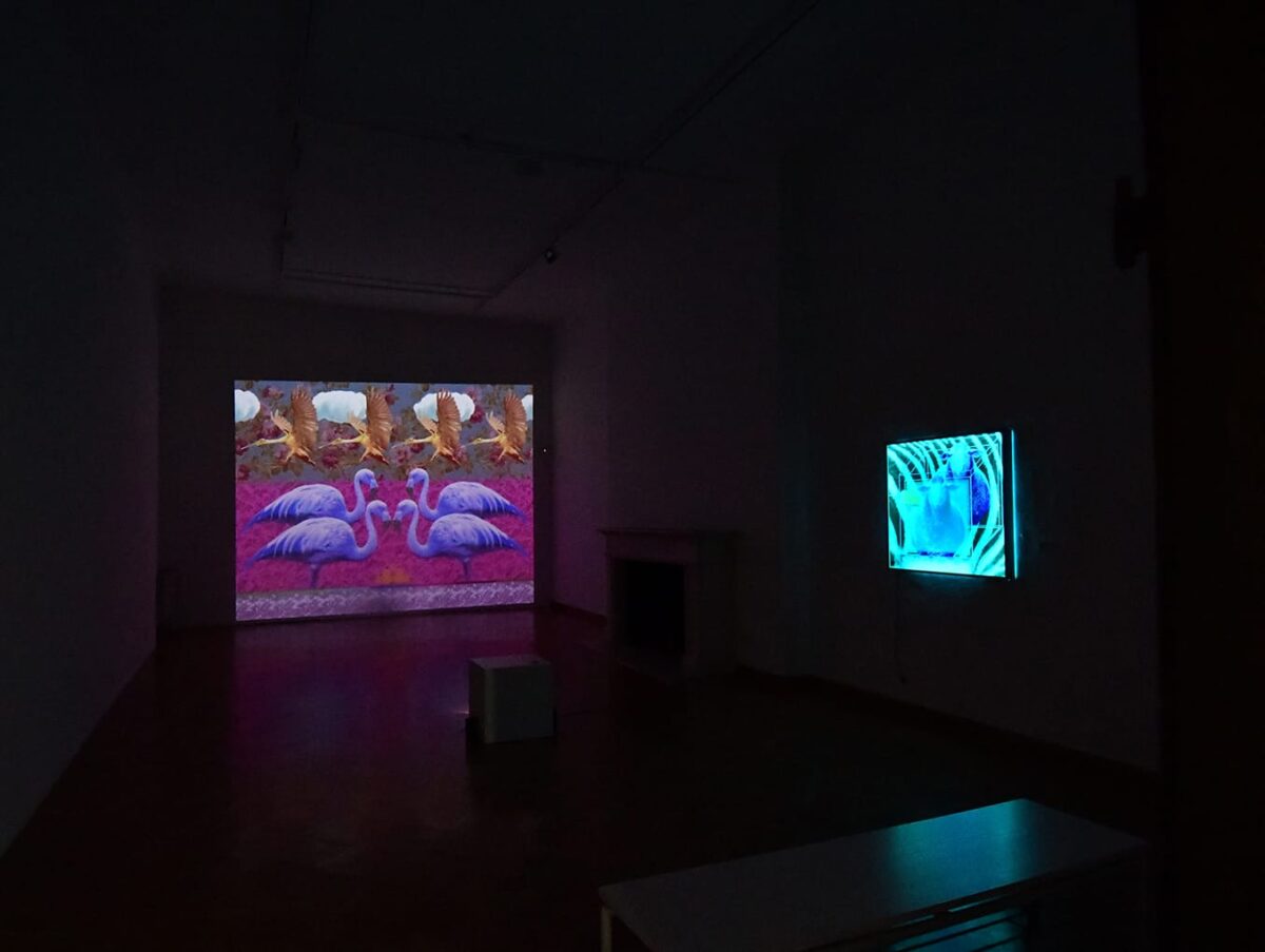 Odrastanje Zoran Šimunović (3)