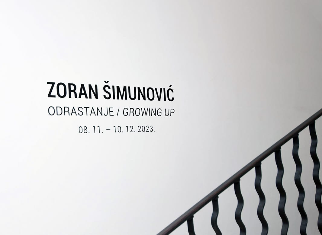 Odrastanje Zoran Šimunović (6)