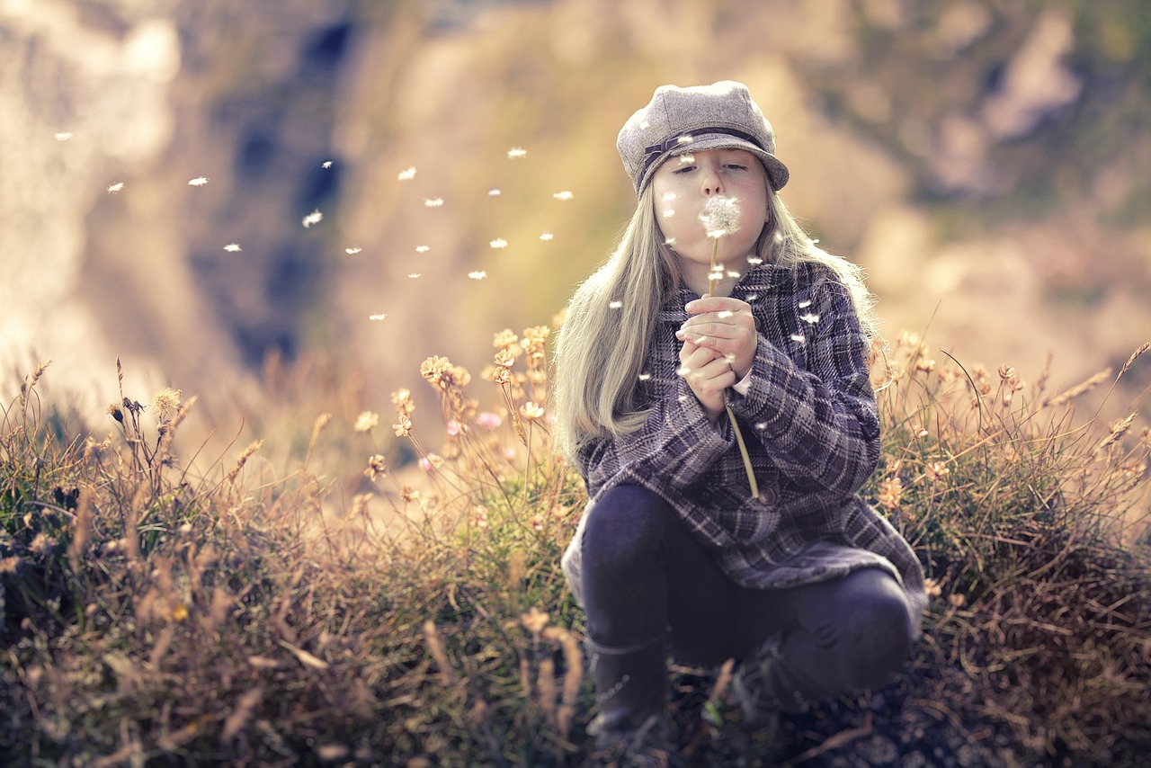 Photo by The Pixelman / Pixabay